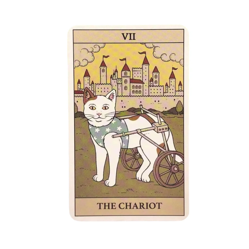 Cats Rule the Earth Alternativo Astromancer Store_tienda_de_tarot