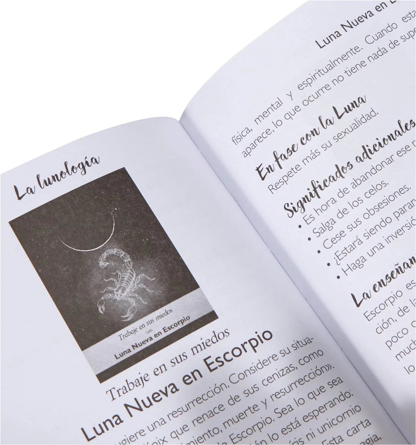 La Lunolalogia Lunalogia Oraculo Original Español Astromancer Store_tienda_de_tarot